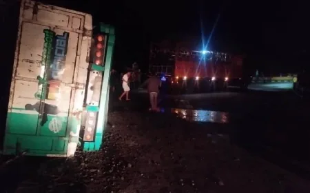 Truk Fuso Bermuatan 21 Sapi Kecelakaan di Dompu, 2 Tewas dan 5 Luka-luka
