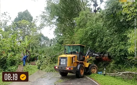 Longsor Tutup Jalan Penghubung Padang-Medan di Palupuh Agam, Ini Kondisinya