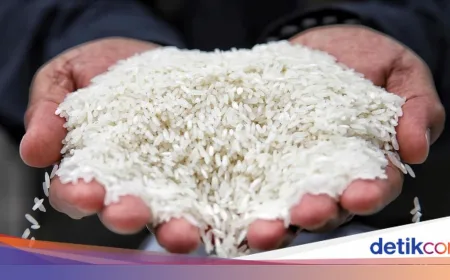 Produksi Beras RI Turun 2,22% di 2026, Panen Menyusut 380 Ribu Ton