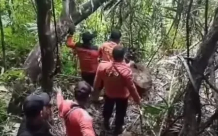 BPBD Tapteng Pantau Kondisi Perbukitan Panakkalan Pasca Longsor 2026