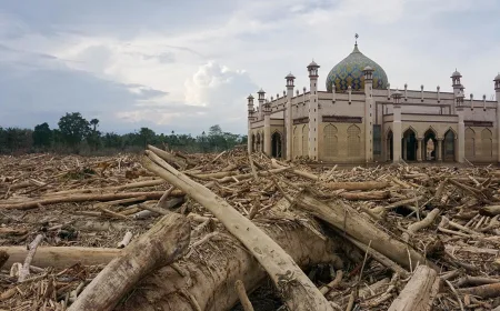 Luas Deforestasi Indonesia Melonjak 2025, Risiko Banjir di Sumatera Meningkat