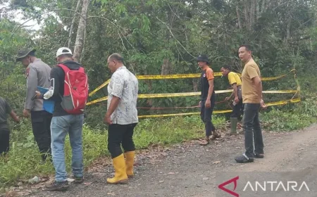 Longsor di OKU Nyaris Putuskan Jalan Penghubung Desa Sosoh Buay Rayap