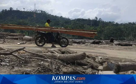 Kayu Gelondongan Banjir Sumatera Dimanfaatkan Jadi Material Huntara Efektif