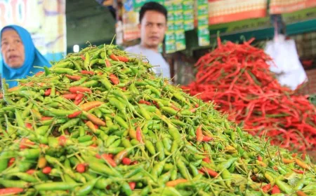 Harga Cabai Rawit Meroket hingga Rp119.400/kg, Ayam Tembus Rp52 Ribu