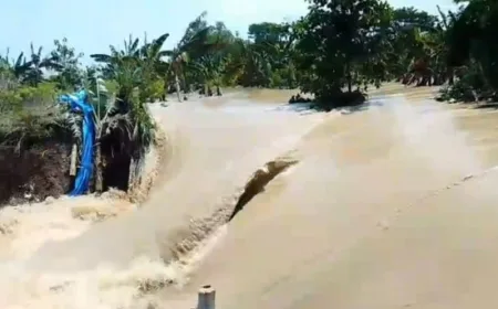 Tanggul Sungai Tuntang Jebol, Banjir Rendam Desa di Demak Jawa Tengah