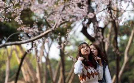 Wabah Penyakit Mulut dan Kuku Serotipe SAT-1 di China: Pemerintah Perketat Perbatasan dan Vaksinasi