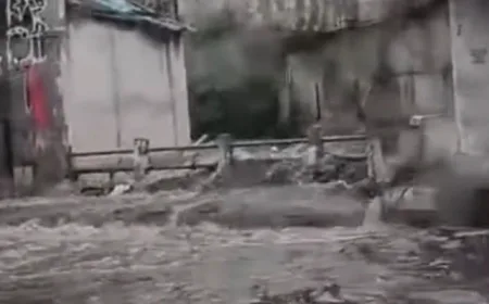 Banjir dan Angin Kencang Terjang Bandung: 23 Pohon Tumbang dan Satu Warga Terluka