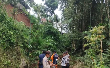 BPBD Tangani Longsor dan Angin Kencang di Tulungagung, Ini Dampaknya