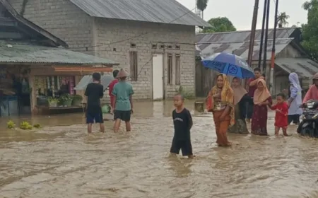 BPBD Sulteng Laporkan 552 Rumah Terdampak Banjir di Balaesang dan Sirenja