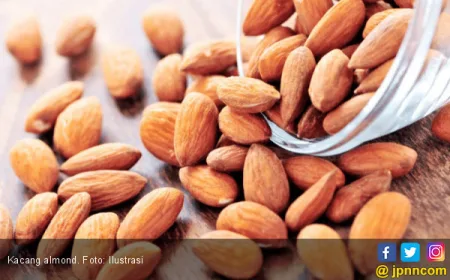 4 Makanan Wajib untuk Penderita Stroke agar Cepat Pulih dan Sehat