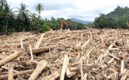 Kayu Hanyut Banjir Aceh-Sumut Dimanfaatkan Jadi Material Huntara, Ini Skemanya