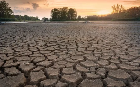 Godzilla El Nino Picu Kekeringan dan Karhutla di Indonesia, Waspada Banjir Lokal