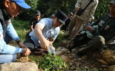 Bupati Lampung Selatan Tinjau Longsor Gunung Rajabasa: Keselamatan Warga Jadi Prioritas