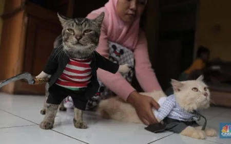 7 Manfaat Pelihara Kucing di Rumah yang Terbukti Secara Ilmiah