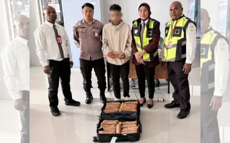 Gagalkan Penyelundupan 7,2 Kg Ganja di Bandara Sentani, Avsec Tangkap Pelaku