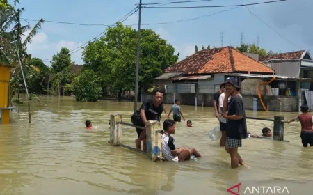 BBWS Usulkan Bangunan Pengendali Sungai untuk Atasi Banjir Demak