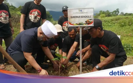 Bengkulu Dapat Rp 23,55 M untuk Transformasi Ekonomi Perhutanan Sosial dan Kopi Robustanya