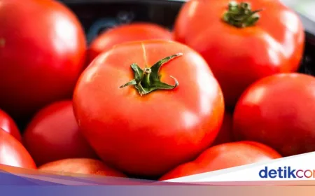 10 Camilan Rendah Kalori yang Enak dan Ideal untuk Pejuang Diet