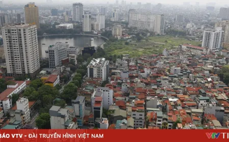 Identifikasi Properti: Kunci Transparansi dan Pengendalian Spekulasi Pasar Properti Vietnam