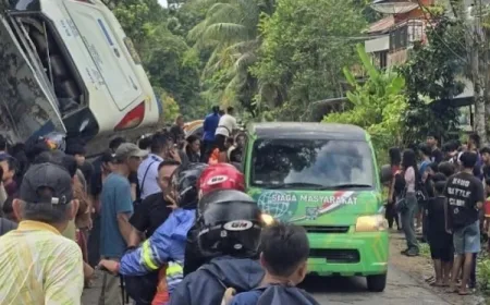 Kecelakaan Bus Damri Sintang-Pontianak Masuk Jurang di Desa Penyeladi, Kalbar