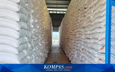 Stok Beras Nasional Aman di 2026: Mentan Pastikan Cadangan Tembus 4,5 Juta Ton