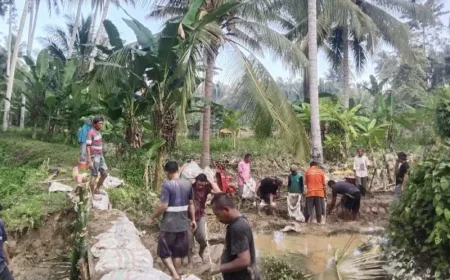 BPBD Parimo Pasang Tanggul Darurat di Sungai Moutong Pascabanjir Besar