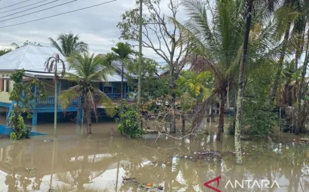 Banjir Bengkulu Akibat Hujan Lebat, Ratusan Rumah Terendam Air Lebih dari 1 Meter