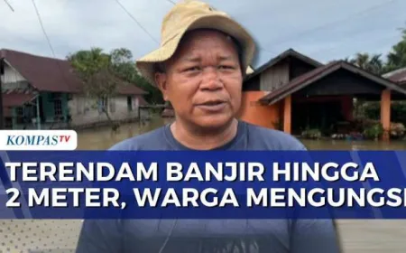 Banjir Setinggi 2 Meter Rendam Dua Kelurahan di Bengkulu, Warga Terpaksa Mengungsi