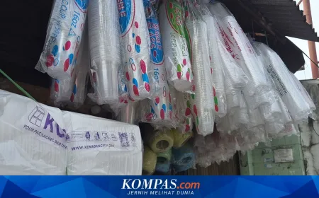 Harga Plastik Melonjak, Pemerintah Diminta Segera Intervensi untuk Lindungi UMKM