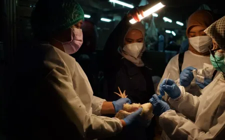 WHO Apresiasi Kepemimpinan Indonesia dalam One Health untuk Kurangi Risiko Penyakit Zoonosis