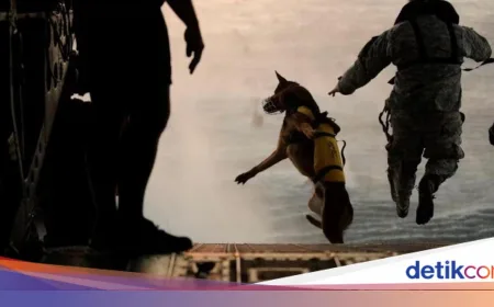 Profil SEAL Team Six: Tim Elit Operasi Rahasia Penyelamatan Pilot AS di Iran