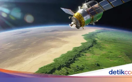 Satelit NASA Ungkap Tembok Hijau China Berhasil Menjinakkan Gurun