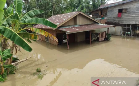 Banjir Melanda Kota Bengkulu: 2.688 KK Terdampak dan Penanganan Terbaru