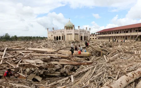 KLH Sanksi 67 Perusahaan Penyebab Banjir Parah di Sumatera Tahun 2025