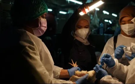 WHO Apresiasi Pendekatan One Health Indonesia dalam Cegah Penyakit Zoonosis Prioritas