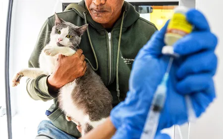 Vaksinasi Rabies Gratis di Bandung: Cegah Penularan Penyakit dari Hewan Peliharaan