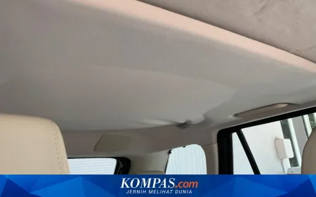 Masalah Plafon Mobil Jepang: Noda Hitam Sulit Dibersihkan dan Solusinya
