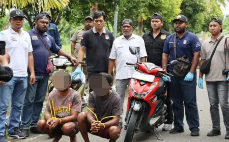 Polda Papua Barat Bekuk Dua Pelaku Pencurian Patung Kasuari di Kantor Gubernur