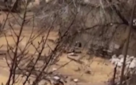 Banjir Besar di Dagestan: Penampakan Bangunan Roboh dan Dampaknya