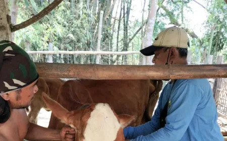 Ancaman Penyakit Zoonosis di Blitar: Pentingnya Deteksi Dini bagi Peternak