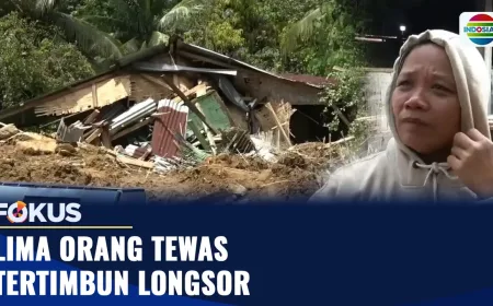 Longsor Maut di Desa X: Lima Orang Tewas Tertimbun Material Lumpur