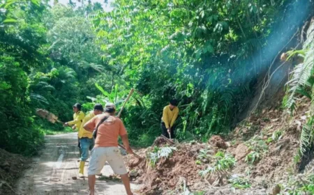 BPBD Deli Serdang Pastikan Seluruh Korban Longsor Sembahe Sudah Ditemukan