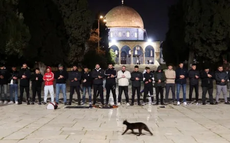 Al Aqsa Dipadati Pengunjung Usai Penutupan 40 Hari oleh Israel