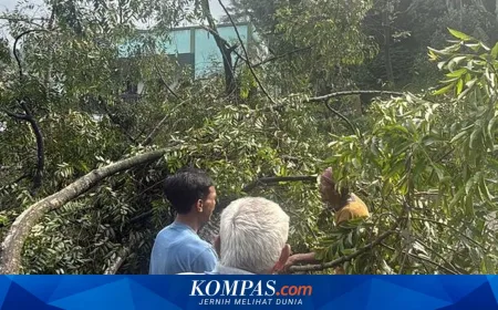 BMKG Ungkap Penyebab Longsor di Bogor, Sumedang, dan Garut Akibat Cuaca Ekstrem