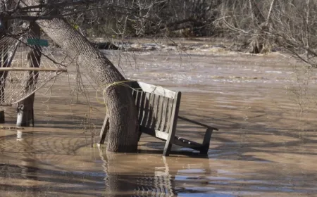Kesiapsiagaan Banjir DIY: Mulai dari Menjaga Kebersihan Sungai yang Vital