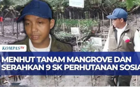 Menhut Raja Juli Tanam Mangrove dan Serahkan 9 SK Perhutanan Sosial di Minahasa Utara