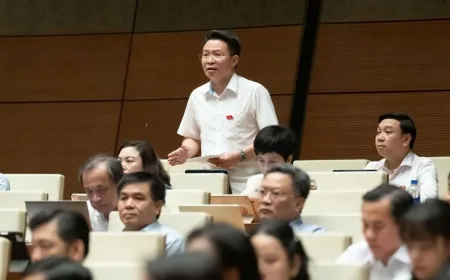 Notarisasi Properti: Wajib atau Pilihan? Klarifikasi Prosedur dan Efisiensi Transaksi