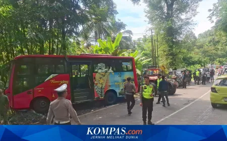 Kecelakaan Beruntun di Trans Jateng Akibat Rem Mendadak Karena Kucing, 1 Tewas