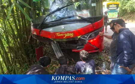 Kronologi Kecelakaan Beruntun Purworejo: Akibat Kucing Melintas, Pemotor Tewas