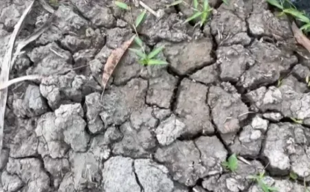 Gubernur Jambi Ingatkan Warga Waspadai Kekeringan dan Risiko Karhutla Musim Kemarau